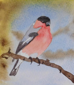 Christine C. Bullfinch, watercolour greeting card.jpg